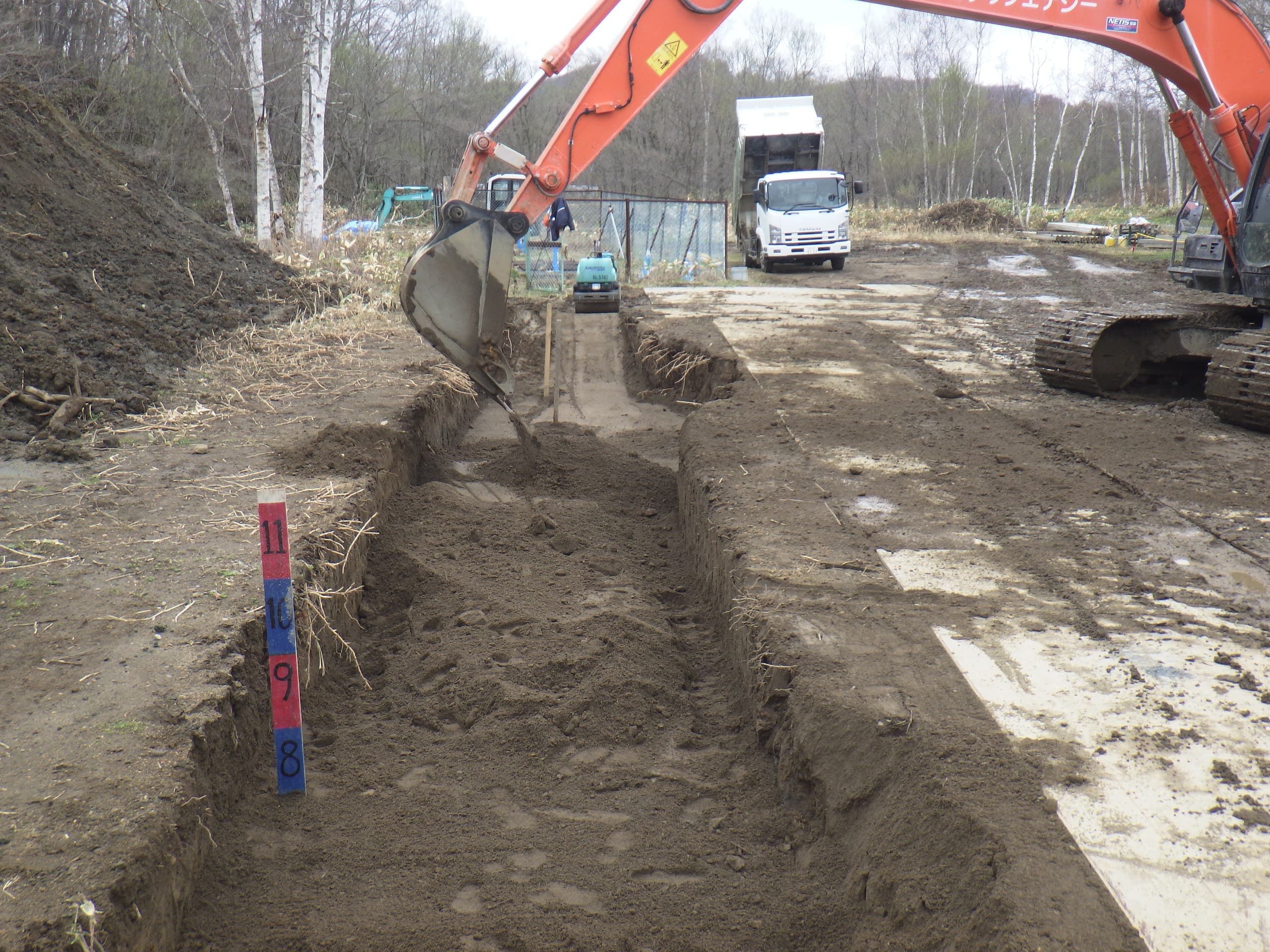 rimg5397_20241002190836950.jpg