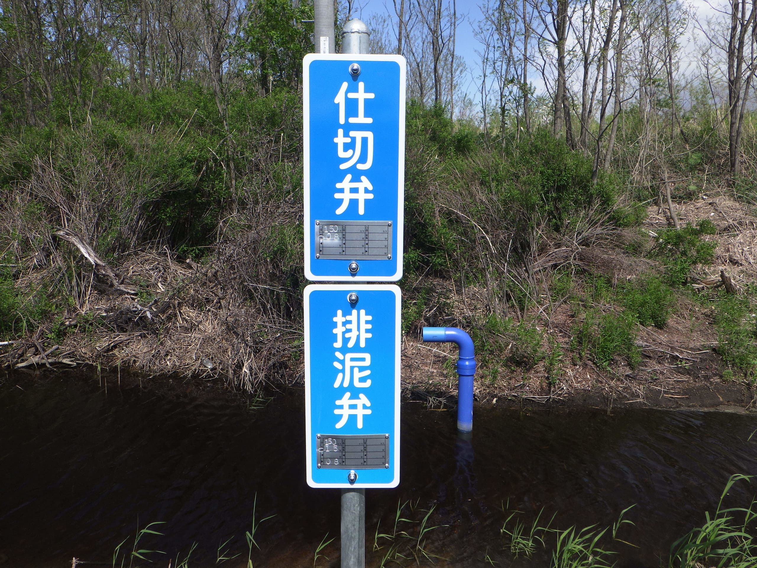 rimg0039_20241002192751781.jpg